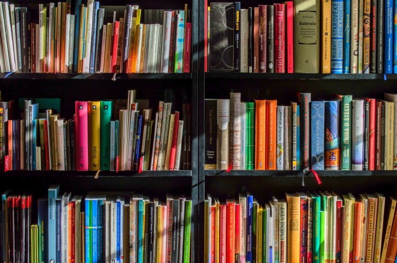 vitrine-LE LAVANDOU-min_books_bookstore_book_reading_shop_writer_sale_books_read-822866